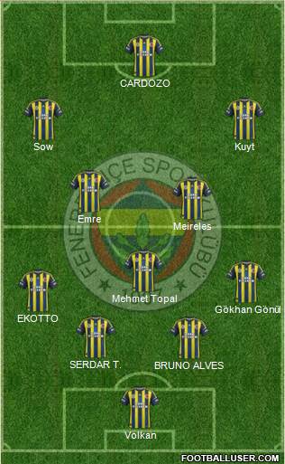 Fenerbahçe SK Formation 2013