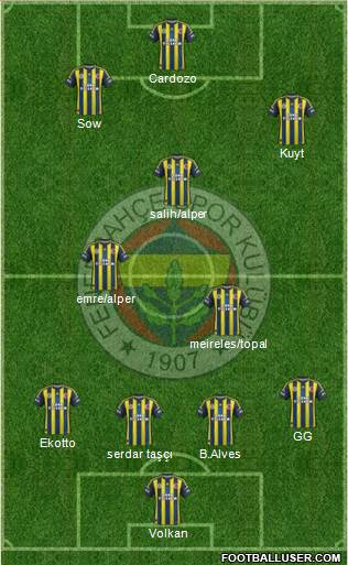 Fenerbahçe SK Formation 2013