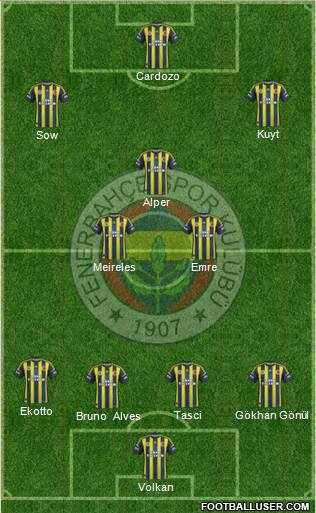 Fenerbahçe SK Formation 2013