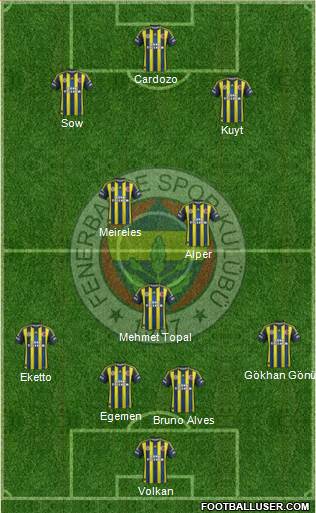 Fenerbahçe SK Formation 2013