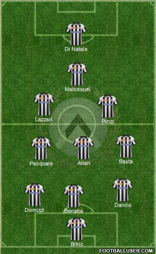 Udinese Formation 2013