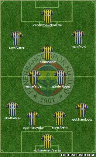 Fenerbahçe SK Formation 2013