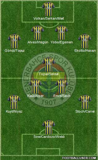 Fenerbahçe SK Formation 2013