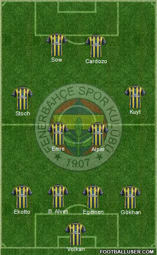 Fenerbahçe SK Formation 2013