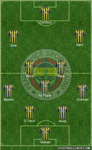 Fenerbahçe SK Formation 2013