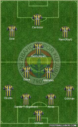 Fenerbahçe SK Formation 2013