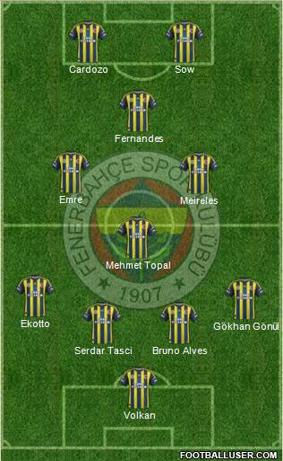 Fenerbahçe SK Formation 2013