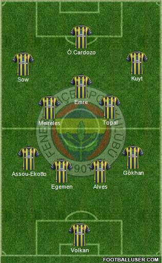 Fenerbahçe SK Formation 2013