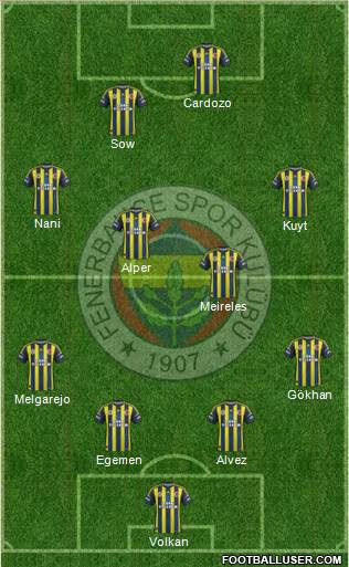 Fenerbahçe SK Formation 2013