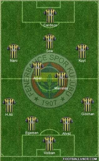 Fenerbahçe SK Formation 2013