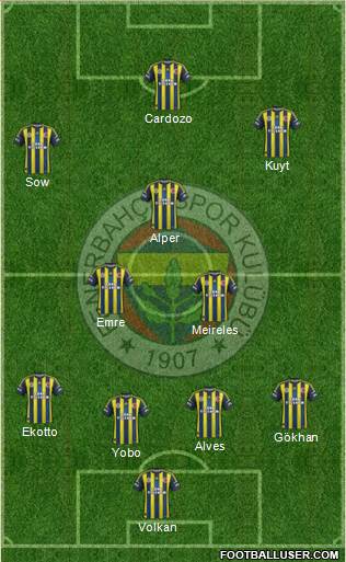 Fenerbahçe SK Formation 2013