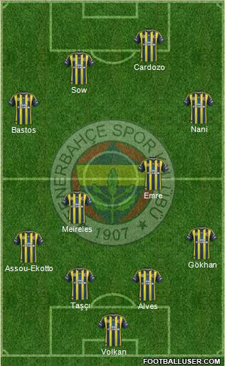 Fenerbahçe SK Formation 2013
