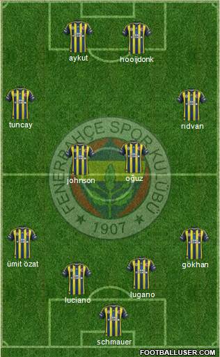 Fenerbahçe SK Formation 2013