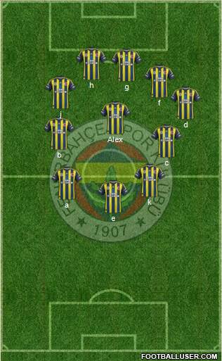 Fenerbahçe SK Formation 2013