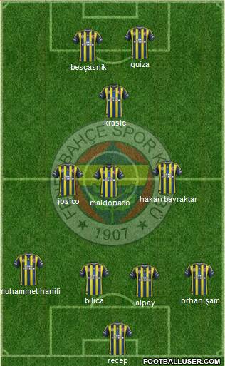 Fenerbahçe SK Formation 2013