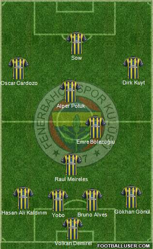Fenerbahçe SK Formation 2013
