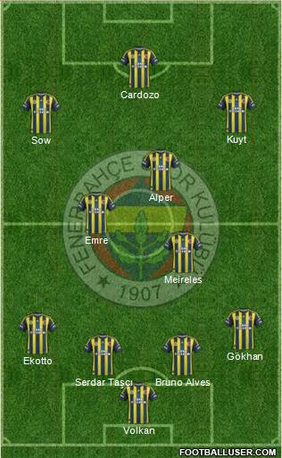 Fenerbahçe SK Formation 2013