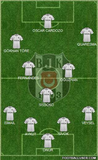 Besiktas JK Formation 2013