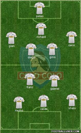 CSD Colo Colo Formation 2013