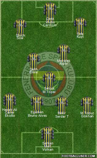 Fenerbahçe SK Formation 2013