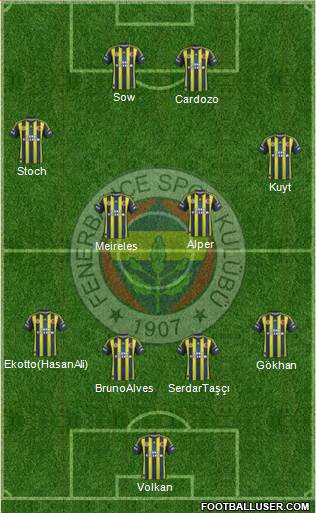 Fenerbahçe SK Formation 2013