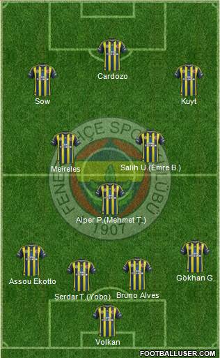 Fenerbahçe SK Formation 2013