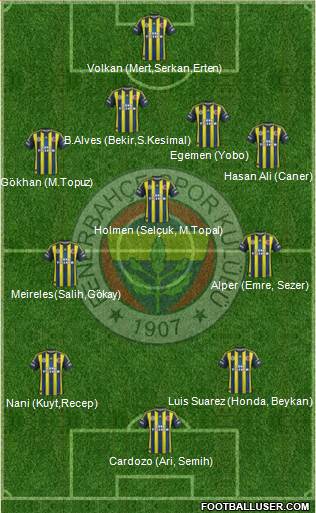 Fenerbahçe SK Formation 2013
