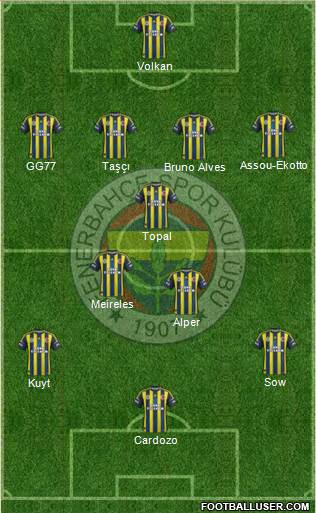 Fenerbahçe SK Formation 2013