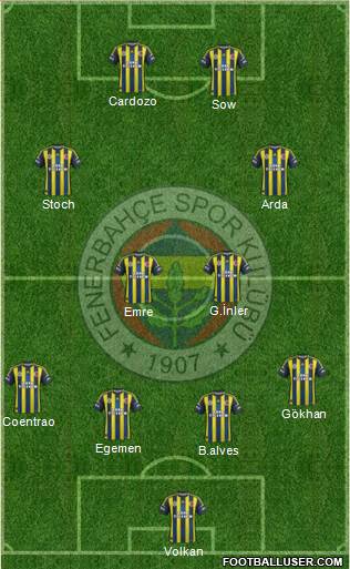 Fenerbahçe SK Formation 2013