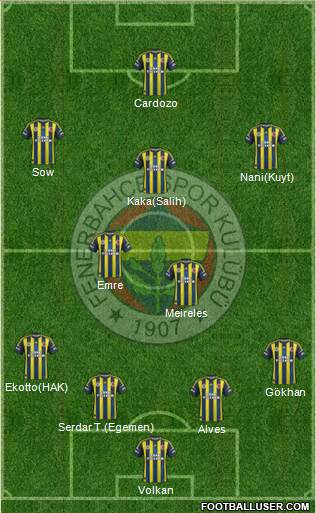 Fenerbahçe SK Formation 2013