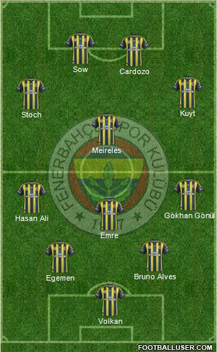 Fenerbahçe SK Formation 2013