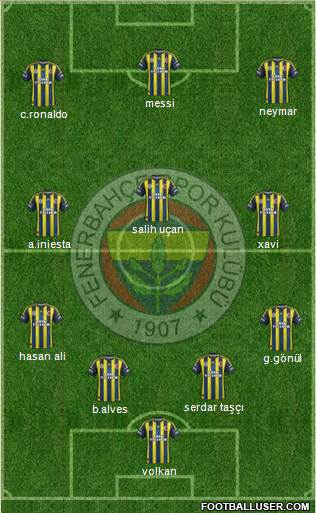 Fenerbahçe SK Formation 2013