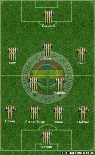 Fenerbahçe SK Formation 2013