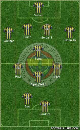 Fenerbahçe SK Formation 2013