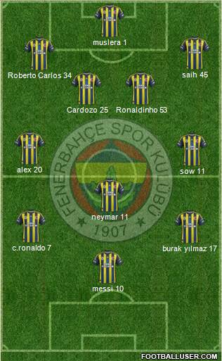 Fenerbahçe SK Formation 2013