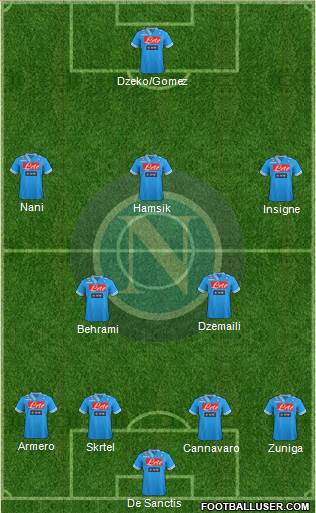Napoli Formation 2013
