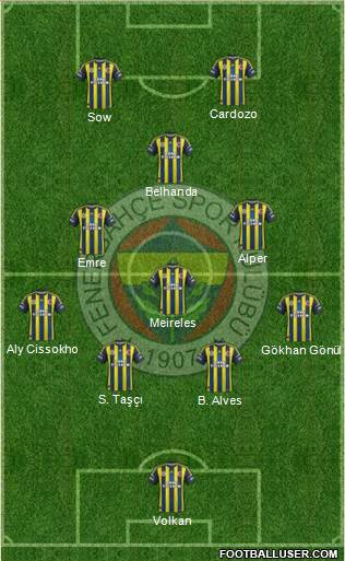 Fenerbahçe SK Formation 2013