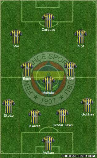 Fenerbahçe SK Formation 2013