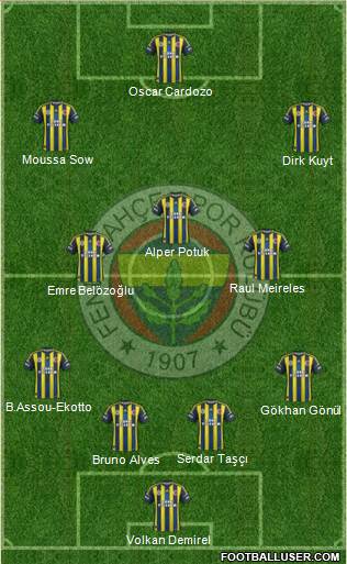 Fenerbahçe SK Formation 2013