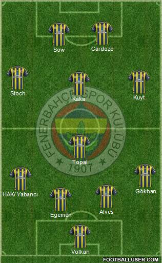 Fenerbahçe SK Formation 2013