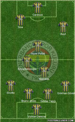 Fenerbahçe SK Formation 2013