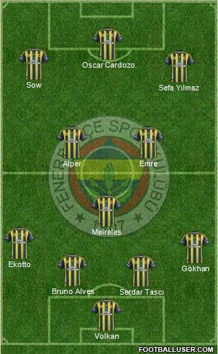 Fenerbahçe SK Formation 2013