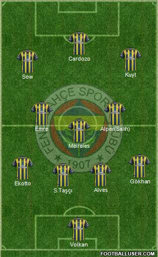 Fenerbahçe SK Formation 2013