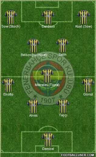 Fenerbahçe SK Formation 2013