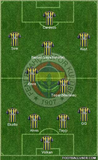 Fenerbahçe SK Formation 2013