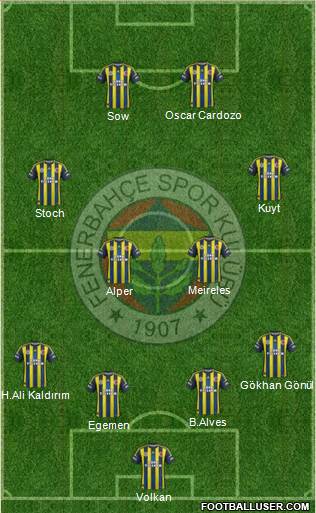 Fenerbahçe SK Formation 2013