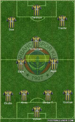 Fenerbahçe SK Formation 2013