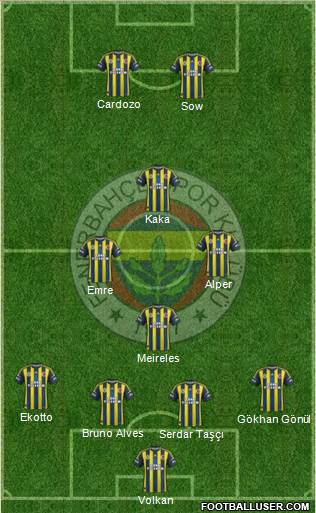 Fenerbahçe SK Formation 2013