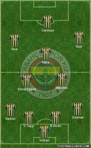Fenerbahçe SK Formation 2013