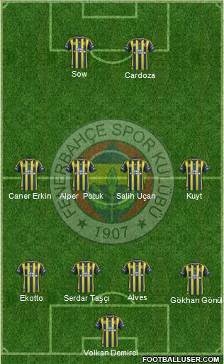 Fenerbahçe SK Formation 2013